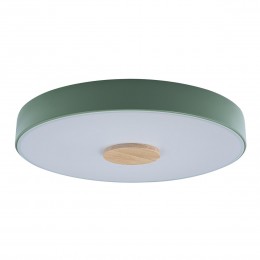 10003/24 Green Потолочный светильник LOFT IT Axel