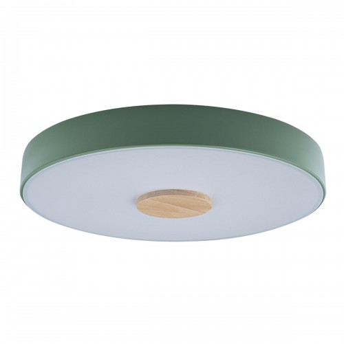 10003/24 Green Потолочный светильник LOFT IT Axel