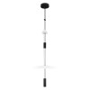 10598B Подвесной светильник LOFT IT Flamingo