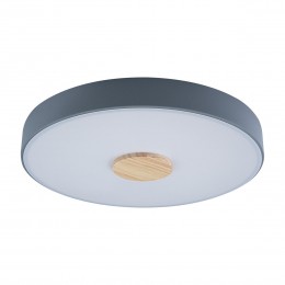 10003/24 Grey Потолочный светильник LOFT IT Axel