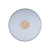 10003/24 Grey Потолочный светильник LOFT IT Axel