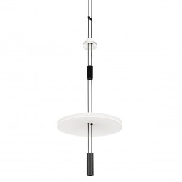 10598B Подвесной светильник LOFT IT Flamingo