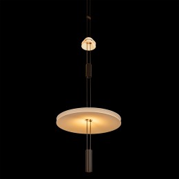 10598B Подвесной светильник LOFT IT Flamingo