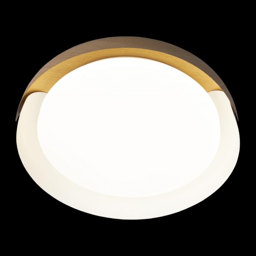 10198 White Потолочный светильник LOFT IT Coin
