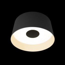 10360M Grey Потолочный светильник LOFT IT Duo