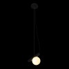 10389 Подвесной светильник LOFT IT Tip