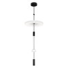 10598C Подвесной светильник LOFT IT Flamingo