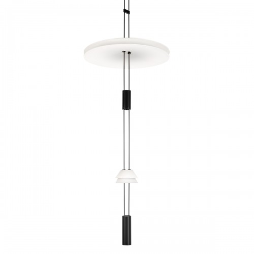 10598C Подвесной светильник LOFT IT Flamingo