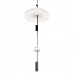 10598C Подвесной светильник LOFT IT Flamingo