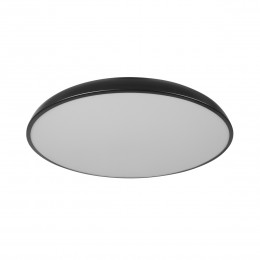 10371 Black Потолочный светильник LOFT IT Dime