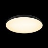 10371 Black Потолочный светильник LOFT IT Dime