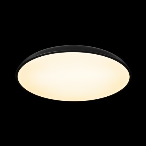10371 Black Потолочный светильник LOFT IT Dime