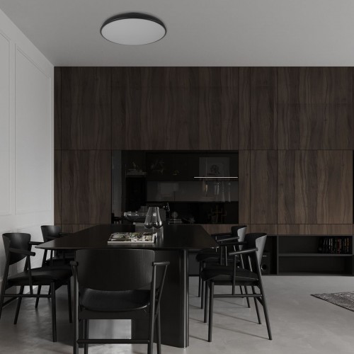 10371 Black Потолочный светильник LOFT IT Dime