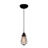LOFT1124 Подвесной светильник LOFT IT Loft cage