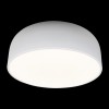 10201/480 White Потолочный светильник LOFT IT Axel
