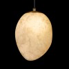 10531A Подвесной светильник LOFT IT Fionora