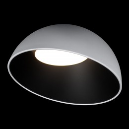 10197/500 WB  Потолочный светильник  LOFT IT Egg