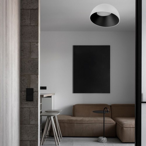 10197/500 WB  Потолочный светильник  LOFT IT Egg