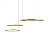 10017/3S Подвесной светильник LOFT IT Ring