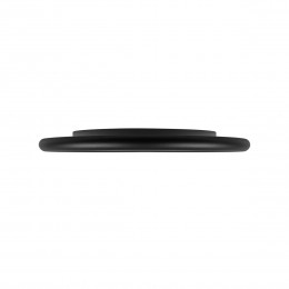 10454/400 Black  Потолочный светильник  LOFT IT Sweety