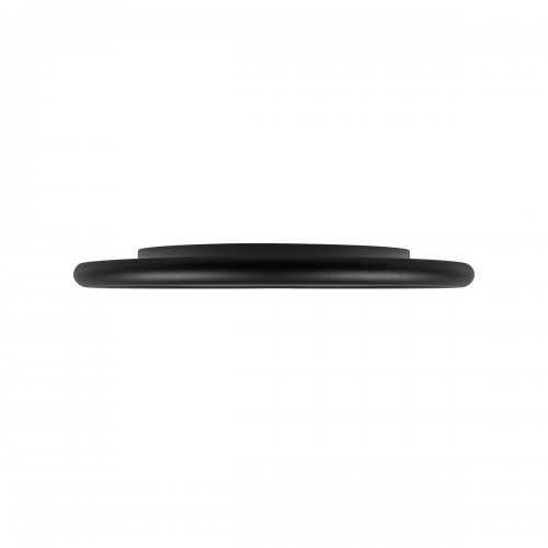 10454/400 Black  Потолочный светильник  LOFT IT Sweety