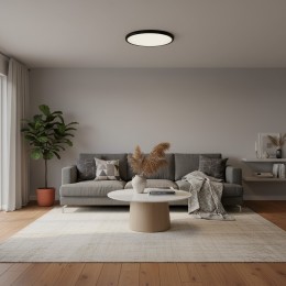 10454/400 Black  Потолочный светильник  LOFT IT Sweety