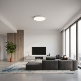 10454/400 White  Потолочный светильник  LOFT IT Sweety