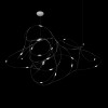 10309/21 CR Подвесной светильник LOFT IT Flock of Light