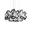 10231/530 Black Подвесной светильник LOFT IT Clizia