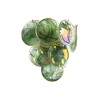 10492W Green Бра LOFT IT Lolly
