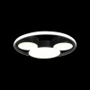 10165 Потолочный светильник LOFT IT Mike