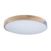 10004/36 Grey Потолочный светильник LOFT IT Axel