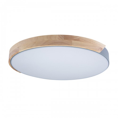 10004/36 Grey Потолочный светильник LOFT IT Axel
