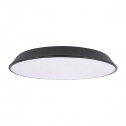 10226 Black Потолочный светильник LOFT IT Brim