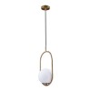 LOFT2595-A Подвесной светильник LOFT IT Glob