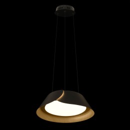 10370P Black Подвесной светильник LOFT IT Lane
