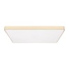 10228/E Потолочный светильник LOFT IT Flims