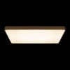 10228/E Потолочный светильник LOFT IT Flims