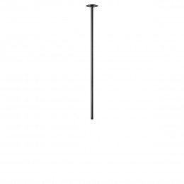 10359/800 Black Потолочный светильник LOFT IT Cane