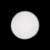 10004/36 White Потолочный светильник LOFT IT Axel