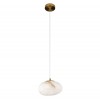 10531B Подвесной светильник LOFT IT Fionora