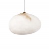 10531B Подвесной светильник LOFT IT Fionora