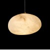 10531B Подвесной светильник LOFT IT Fionora