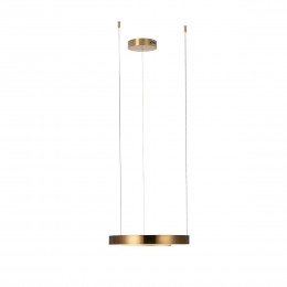 10013S Подвесной светильник LOFT IT Ring