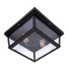 LOFT3110-2C Потолочный светильник LOFT IT Modern filament