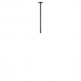 10359/500 Black Потолочный светильник LOFT IT Cane