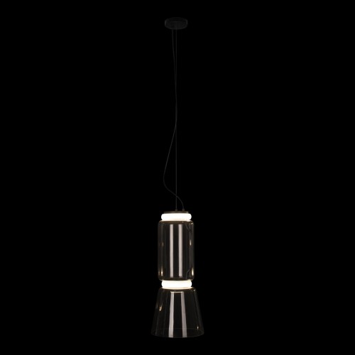 10193/S Подвесной светильник LOFT IT Noctambule