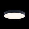 10002/24 Black Потолочный светильник LOFT IT Axel