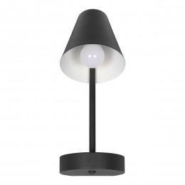 10216/1W Black Настенный светильник LOFT IT Shelf