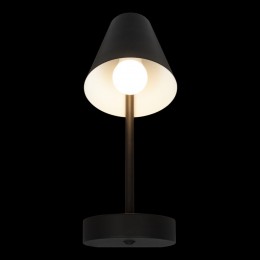 10216/1W Black Настенный светильник LOFT IT Shelf